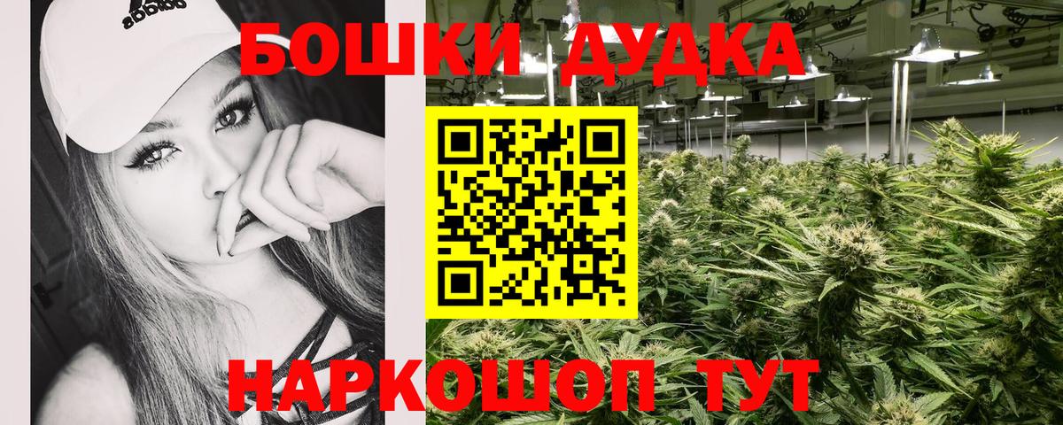Канабис планчик Нижневартовск
